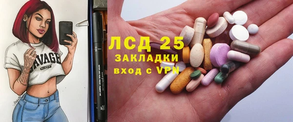 ПСИЛОЦИБИНОВЫЕ ГРИБЫ Козловка