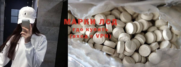ПСИЛОЦИБИНОВЫЕ ГРИБЫ Козловка