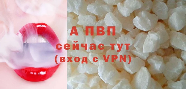 ПСИЛОЦИБИНОВЫЕ ГРИБЫ Козловка