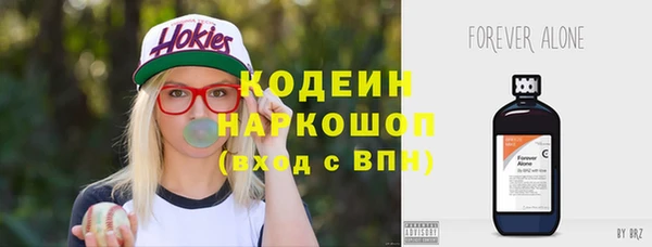 ПСИЛОЦИБИНОВЫЕ ГРИБЫ Козловка