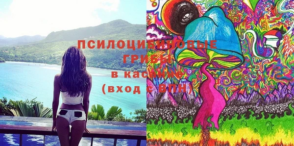 первитин Козельск