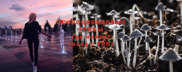 первитин Козельск