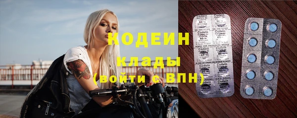 ПСИЛОЦИБИНОВЫЕ ГРИБЫ Козловка