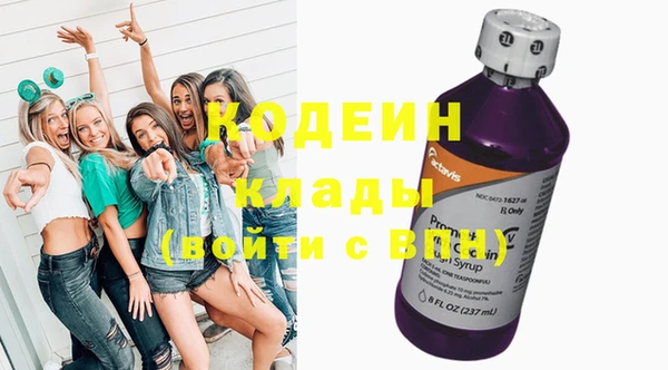 ПСИЛОЦИБИНОВЫЕ ГРИБЫ Козловка