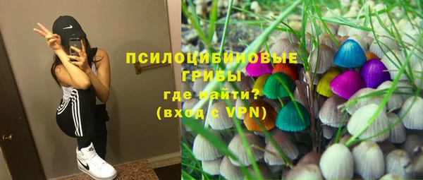 прущие крисы Кодинск
