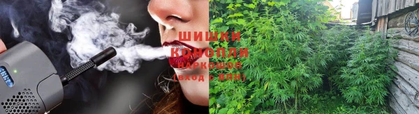 прущие крисы Кодинск