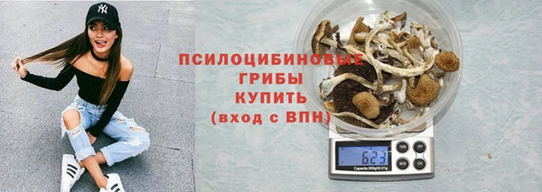 первитин Козельск