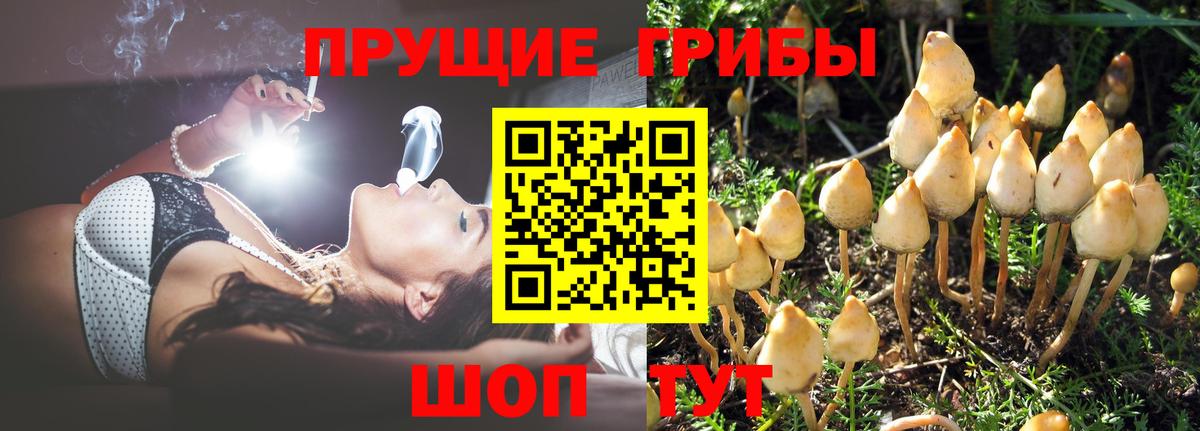 Псилоцибиновые грибы Magic Shrooms Первоуральск